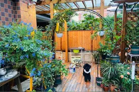 带院的一楼不能买？自住6年的我亲自告诉你，胡扯！利大于弊图片