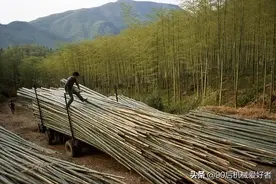 用竹子竹屑加工烧烤机制炭竹炭需要用到什么设备？如何配置图片