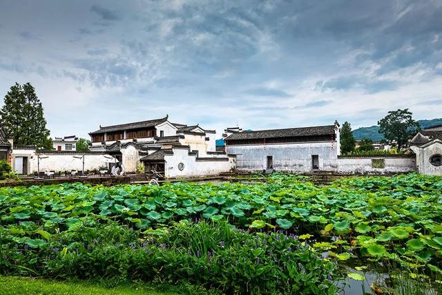 拍点发现 | 今年夏天,去这些地方拍荷花