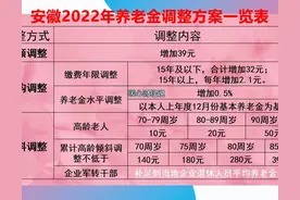 2022年安徽省养老金方案，工龄和定额调整提标，还有哪些变化？图片