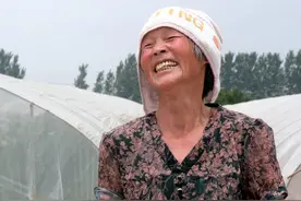 对作物安全，成为封闭除草剂中的亮点，精异丙甲草胺缺点也明显图片