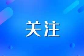 处理结果来了图片