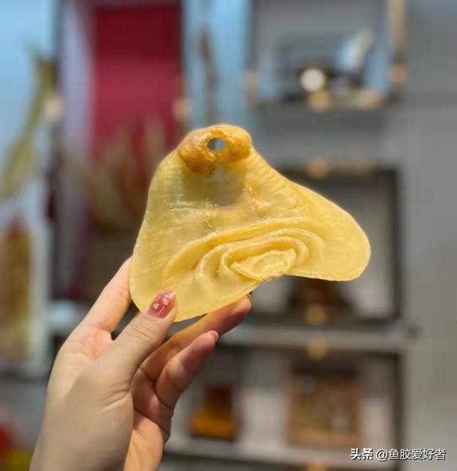 鳕鱼胶是花胶最差的吗 2026年鳕鱼胶是花胶最差的吗怎么吃