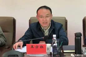 王方红当选日喀则市市长，罗庆伍当选昌都市市长（附2人简历）图片