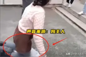 狗把人咬入院,狗主旁观？事态恶化跪求原谅,伤者一语让狗主人后悔图片