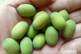 经常心烦失眠的朋友，不如吃点它，养生又美味——莲子图片