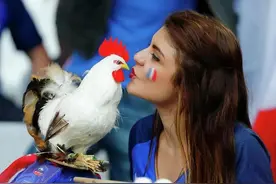 你不知道的国家冷知识——法国图片