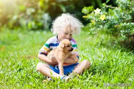 英国语文第十五课图片