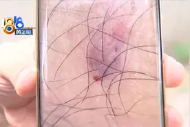 当外卖员遇上“约克夏”图片