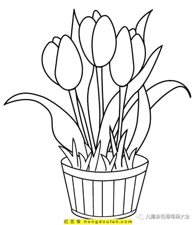 88张免费的郁金香兰花卡通涂色简笔画!你的郁金香是什么颜色的?