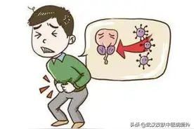 男性生殖长红斑不痛不痒图片