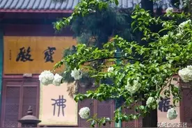 贪嗔痴三毒残害身心，是犯罪，痛苦，烦恼的根源图片