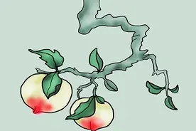 美国研究表明：寿命的长短与基因遗传有关！为你解答关于长寿谣言图片