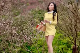 夸姐姐的话 夸姐姐的话一连串图片