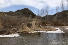今日水离日，俗语说："离日食一宝，开春猛如豹"，知道是什么宝吗图片