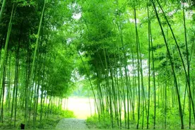 最聪明的社交方式：低图片