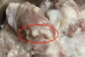 猪身上的“最毒”器官千万别吃！我国早已禁止销售，建议详细了解图片