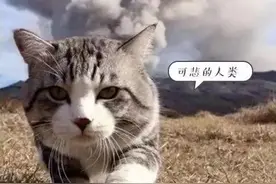 表面上看起来萌萌哒，背地里竟然干出这种事？还巨臭！图片