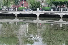 大连这个湖水草为什么那么多？园林部门：降雨量少所致图片