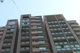 顶楼房子发霉起斑 顶楼种菜惹的祸？图片