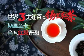 世界三大高香红茶再来挑战，斯里兰卡锡兰红茶评测，有没过人处？图片