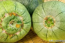 买甜瓜时，挑大肚脐还是小肚脐？老果农：区别很大，别再买错了！图片