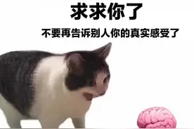 meme梗图：能力越大责任越大图片