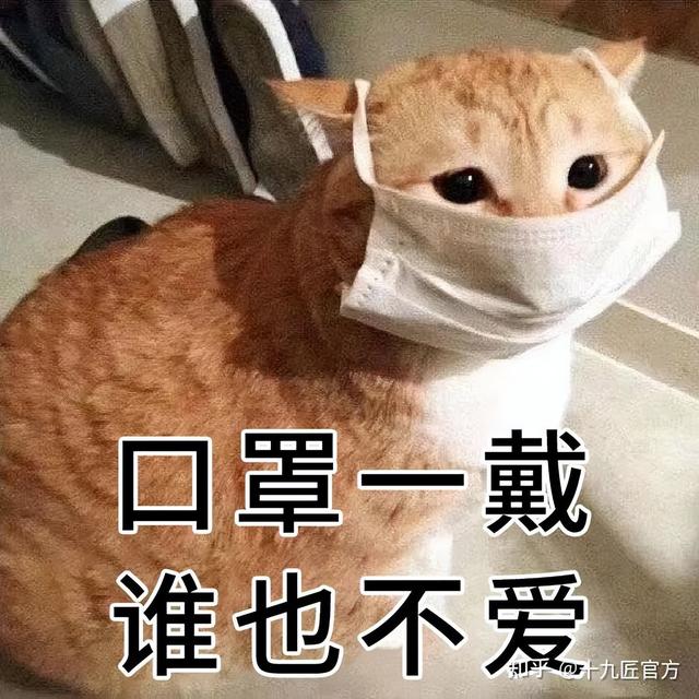 丝眉和雾眉的区别（雾眉）