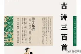 古诗三百首.五言绝句《己亥杂诗》图片