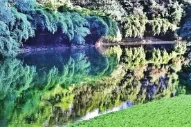 去哪里享受凉爽天气？来渝北这个宝藏湖泊散步吧！图片
