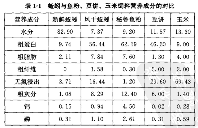 蚯蚓的价值之饲用价值