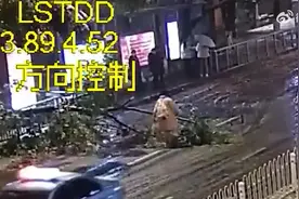 高三女生搬开挡道大树被奖5000元图片