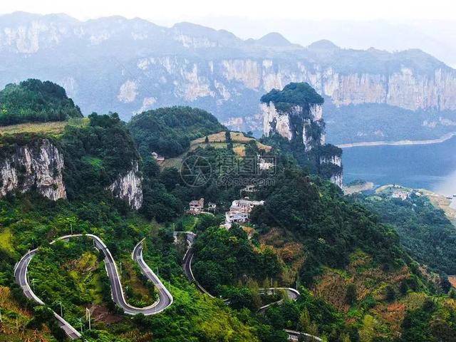 一亿二仟万的兰花图片欣赏（天价兰花）