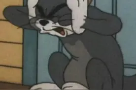 建议午休时间不允许装修？网友吵翻！上海市生态环境局答复图片