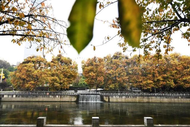 南明区：初冬时节好风景