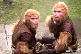 西游：孙悟空打不赢六耳猕猴？你看花果山都是些什么猴子图片