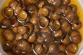 老祖宗的智慧太牛了，现在一觉睡到自然醒，太舒服了图片