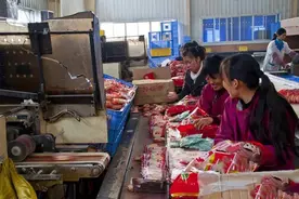 当下10万左右的加工厂，这几个项目能年入百万！图片