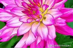 百花齐放，姹紫嫣红，千娇百媚，赏心悦目图片