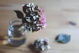 走霉运时，扔掉这三样旧东西，才能逆风翻盘图片