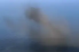 《流浪地球2》里的蚊子饼真的存在，一口下去有股鱼腥味图片