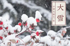 12月7日大雪，萝卜白菜靠边站，记得吃“5珍”，体格强健好过冬图片