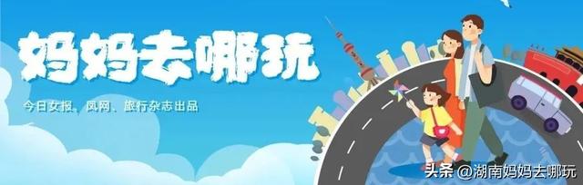 上海222路公交车的路线图（省钱还好玩这是一条神奇公交线路）