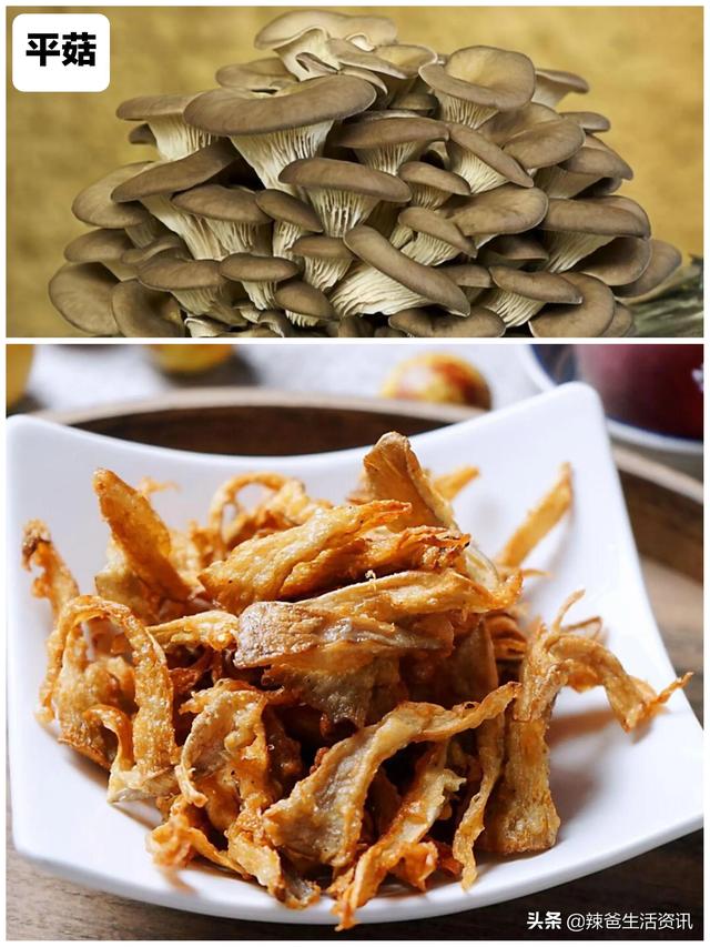 12种“常见的蘑菇”，你都吃过吗？附：经典做法，请收藏