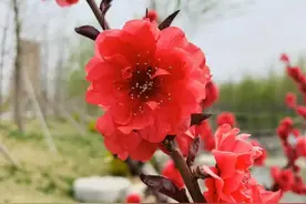 圣人之道，吾性自足，不假外求图片