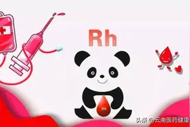 医学博物馆｜“熊猫血”是什么？如何鉴定？图片