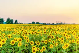 变老的路上，一定要变好图片