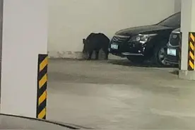 武汉一小区突然出现！看到请马上远离图片