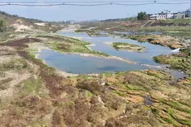 一张单子卖10万元，谁在交易长江砂石“身份证”？图片