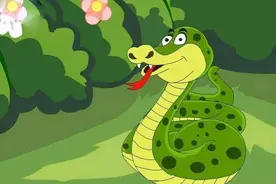 很多人怕蛇，蛇也有天敌，有一样只要蛇沾上一点，马上就会毙命图片